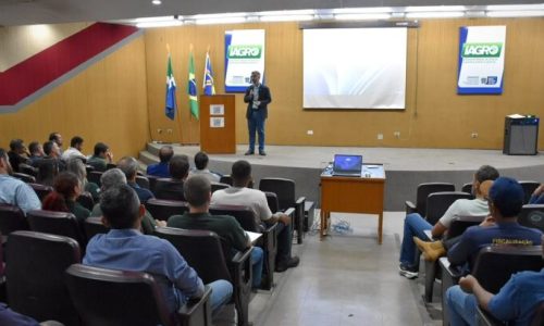 Cooperação entre forças de fiscalização fortalece combate ao contrabando de agrotóxicos em MS