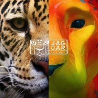 Foto: Jaguar Parede