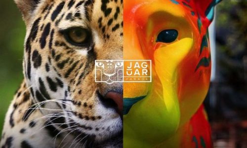 Foto: Jaguar Parede