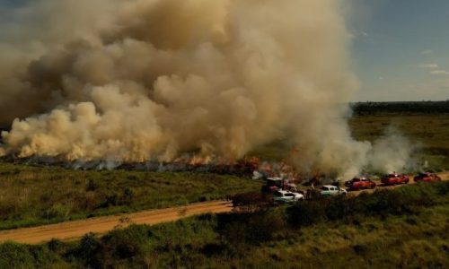 Foto: Ewerton Pereira/Secom-MS