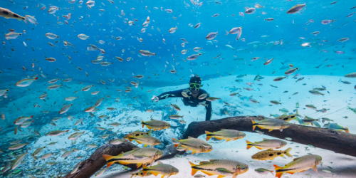 Turismo de MS reforça protagonismo e é destaque nacional em três diferentes prêmios em março