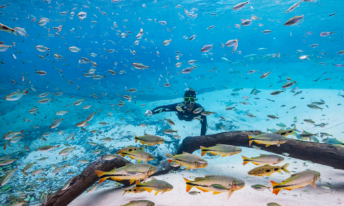 Turismo de MS reforça protagonismo e é destaque nacional em três diferentes prêmios em março