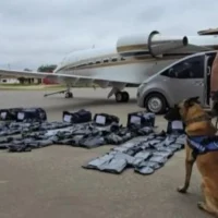 Paraguai apreende 1,218 quilos de maconha premium que chegou a ser avaliada em mais de US$ 17 milhões