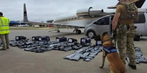 Paraguai apreende 1,218 quilos de maconha premium que chegou a ser avaliada em mais de US$ 17 milhões