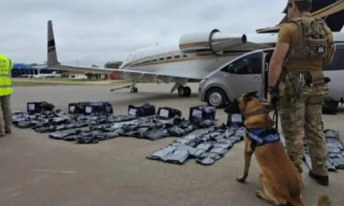 Paraguai apreende 1,218 quilos de maconha premium que chegou a ser avaliada em mais de US$ 17 milhões