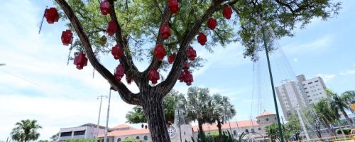 Praça Antonio João já está recebendo a decoração para as celebrações do ‘Natal Encantado Dourados’. Foto: A. Frota
