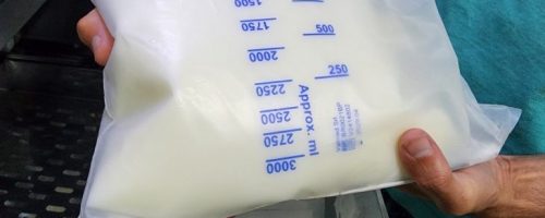 Foto: Patrícia Belarmino/HRMS