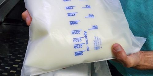 Foto: Patrícia Belarmino/HRMS