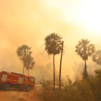 El Niño eleva risco de fogo no Pantanal, e MS assegura resposta estratégica com bases avançadas, aeronaves e tecnologia