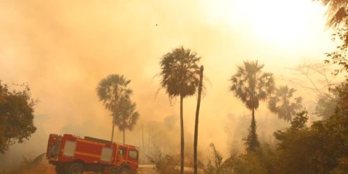 El Niño eleva risco de fogo no Pantanal, e MS assegura resposta estratégica com bases avançadas, aeronaves e tecnologia