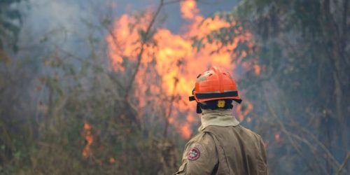 Combate a incêndio no Pantanal em 2024 (Foto: Álvaro Rezende)
