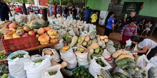 Dourados realiza dia 22 recebimento do 1º PAA Indígena Municipal do Brasil