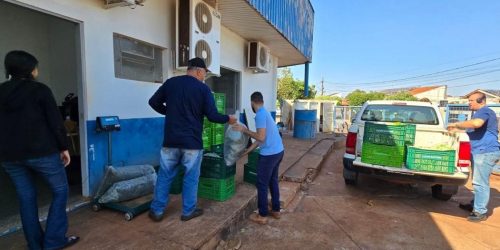 Alimentos adquiridos da agricultura familiar são repassados pela Prefeitura de Dourados para entidades beneficentes. Divulgação/Assecom
