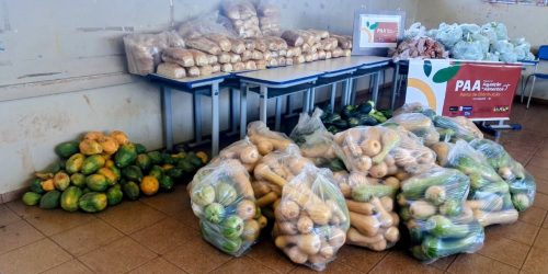 Os alimentos dessa primeira etapa contemplaram escolas e estudantes de três unidades de ensino da aldeia Bororó. Foto: A. Frota