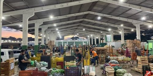Do campo ao mercado: como o agricultor pode vender na Ceasa de Mato Grosso do Sul