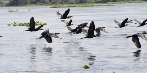 Foto: Bruno Rezende/Arquivo Secom