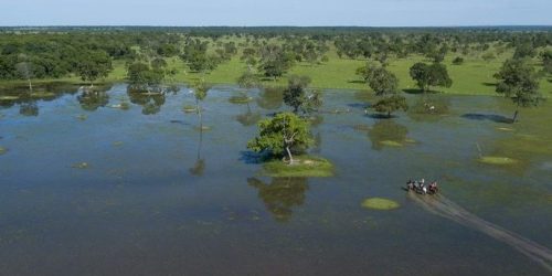 Campo Grande Vai Sediar a COP15: Conferência Internacional sobre Espécies Migratórias em Março de 2026