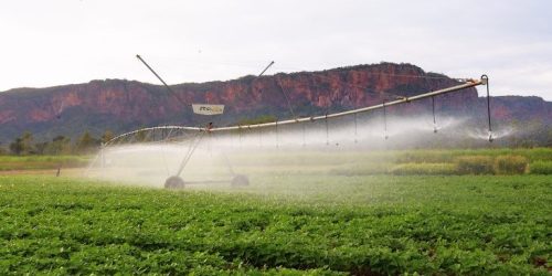 Foto: Saul Schramm/Secom