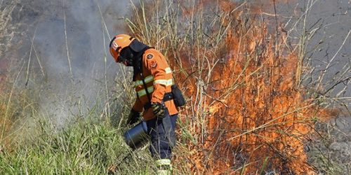 Foto: Bruno Rezende/Secom