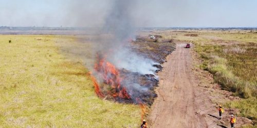 Foto: Bruno Rezende/Secom