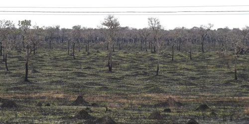 Foto: Bruno Rezende/Secom