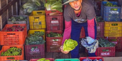 Foto: Reprodução/ Agência Gov