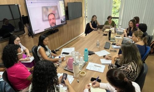 Secretaria de Saúde de MS, OPAS e Ministério da Saúde alinham ações prioritárias para 2026