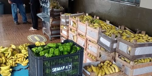 Produção da agricultura familiar, adquirida através do Programa de Aquisição de Alimentos, beneficia dezenas de entidades em Dourados. Foto: Divulgação/Assecom