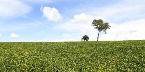 Foto: Bruno Rezende/Secom