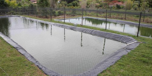 Prefeitura de Dourados Isenta Licenciamento Ambiental para Piscicultura de Pequeno Porte