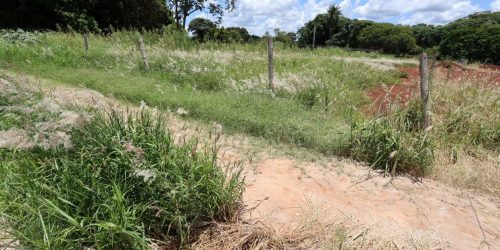 A iniciativa busca preservar a limpeza e a organização da cidade, especialmente diante do crescimento acelerado da vegetação provocado pelas chuvas. Foto: A. Frota