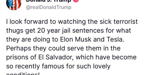 Reprodução / Redes Sociais