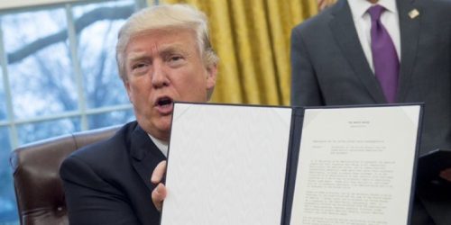 Donald Trump / DIvulgação