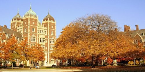 Foto - Bryan Y.W. Shin