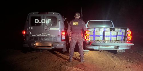 Ação Integrada entre DOF e PM de Eldorado Apreende Mais de 1.200 Kg de Maconha
