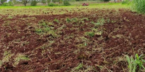 Maquinários da Secretaria Municipal de Agricultura Familiar trabalham no apoio aos produtores. Foto: Semaf