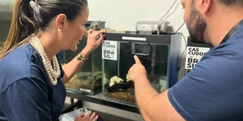 Foto: Heriberto Gimênes Junior