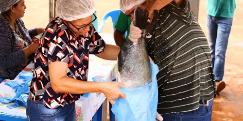 Seleção visa piscicultores que disponham de peixes adultos em quantidade e qualidade adequadas para a oferta na 1ª Festa da Páscoa de Dourados. Foto: Arquivo/Assecom