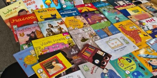 Livros doados pelo Ministério da Educação ampliam o acervo da Biblioteca de Dourados. Foto: Divulgação/Assecom