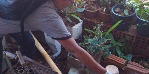 Agentes de combate de endemias fiscalizam casas, quintais e parques no combate aos focos do mosquito. Foto: A. Frota