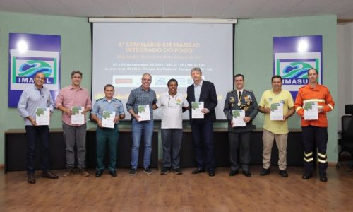 Foto: Mairinco de Pauda/Semadesc