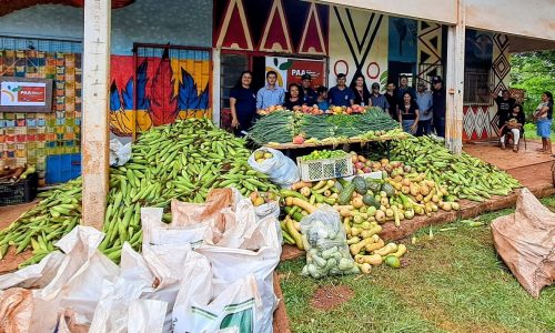 Secretaria de Agricultura Familiar inicia ano com quase 10 toneladas de alimentos do PAA Indígena distribuídos