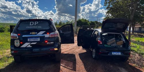 Polícia apreende quase 400kg de maconha e prende homem em flagrante