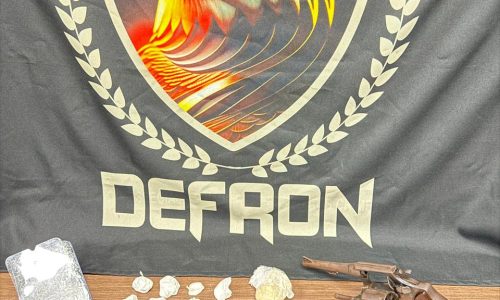 Polícia Civil prende homem de 33 anos, por tráfico de drogas e posse de arma de fogo, em Dourados