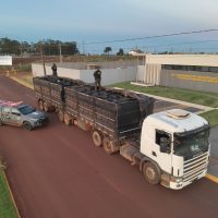 DOF apreende mais de 200 pneus de caminhão que seriam entregues em Mato Grosso
