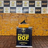 DOF apreende quase 2 toneladas de droga transportadas em caminhonete roubada em São Paulo