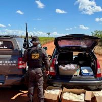 DOF apreende carro com mais de 150 quilos de agrotóxicos