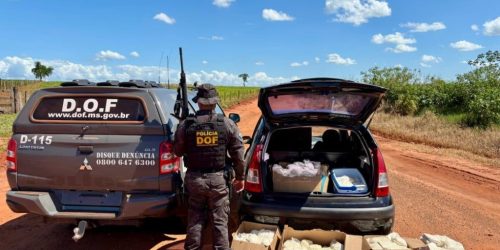 DOF apreende carro com mais de 150 quilos de agrotóxicos