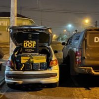 Policiais apreendem mais de 300 quilos de drogas