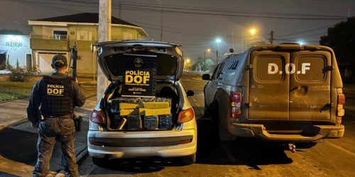 Policiais apreendem mais de 300 quilos de drogas